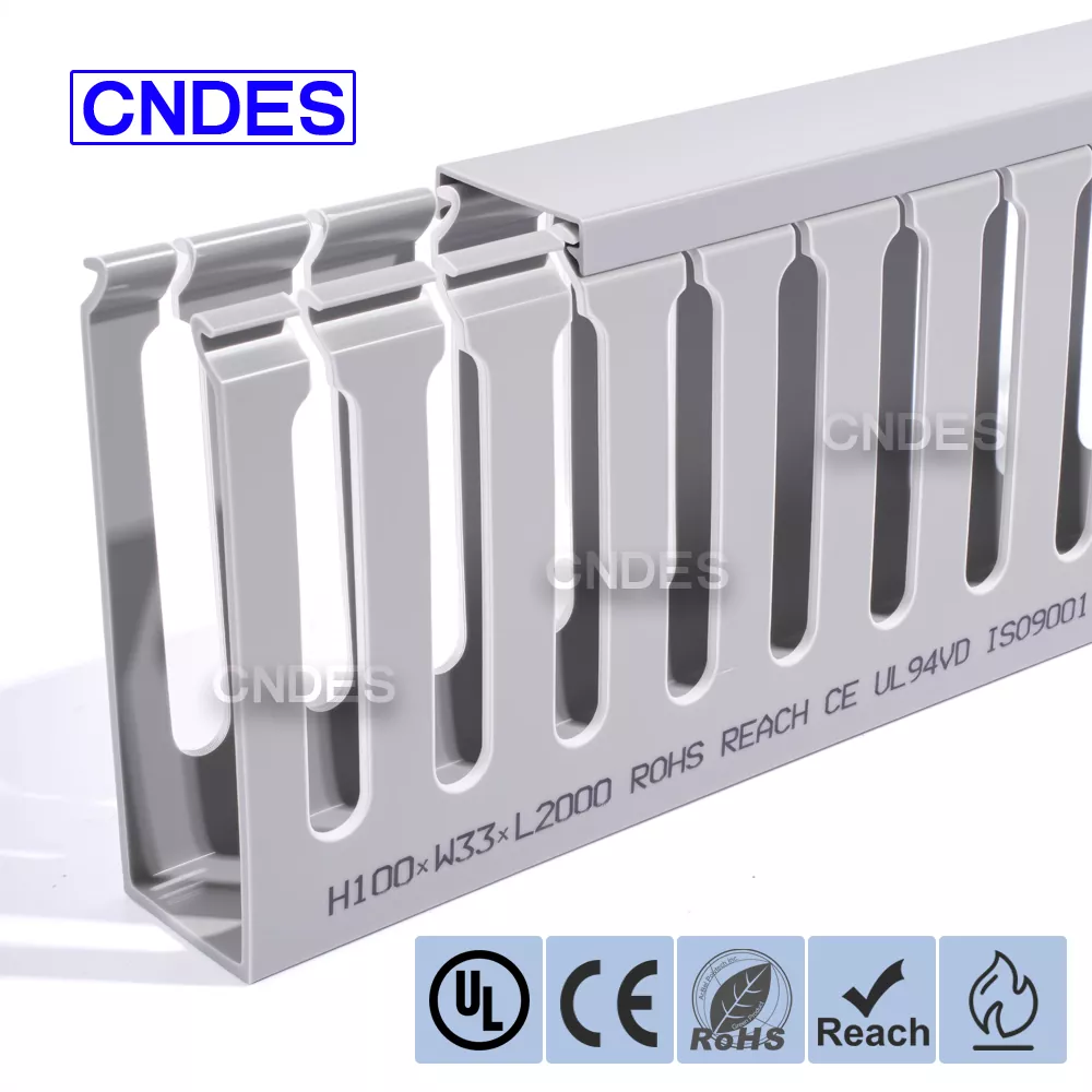 ການຈັດການສາຍເຊີບເວີ Rack 100×33